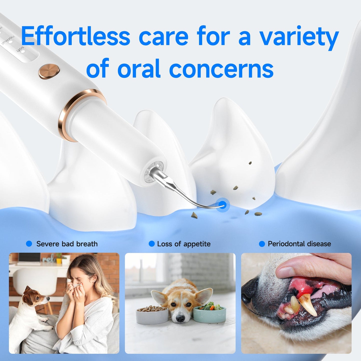 T4 Pet Ultrasonic Tooth Cleaner - CURVY MOON