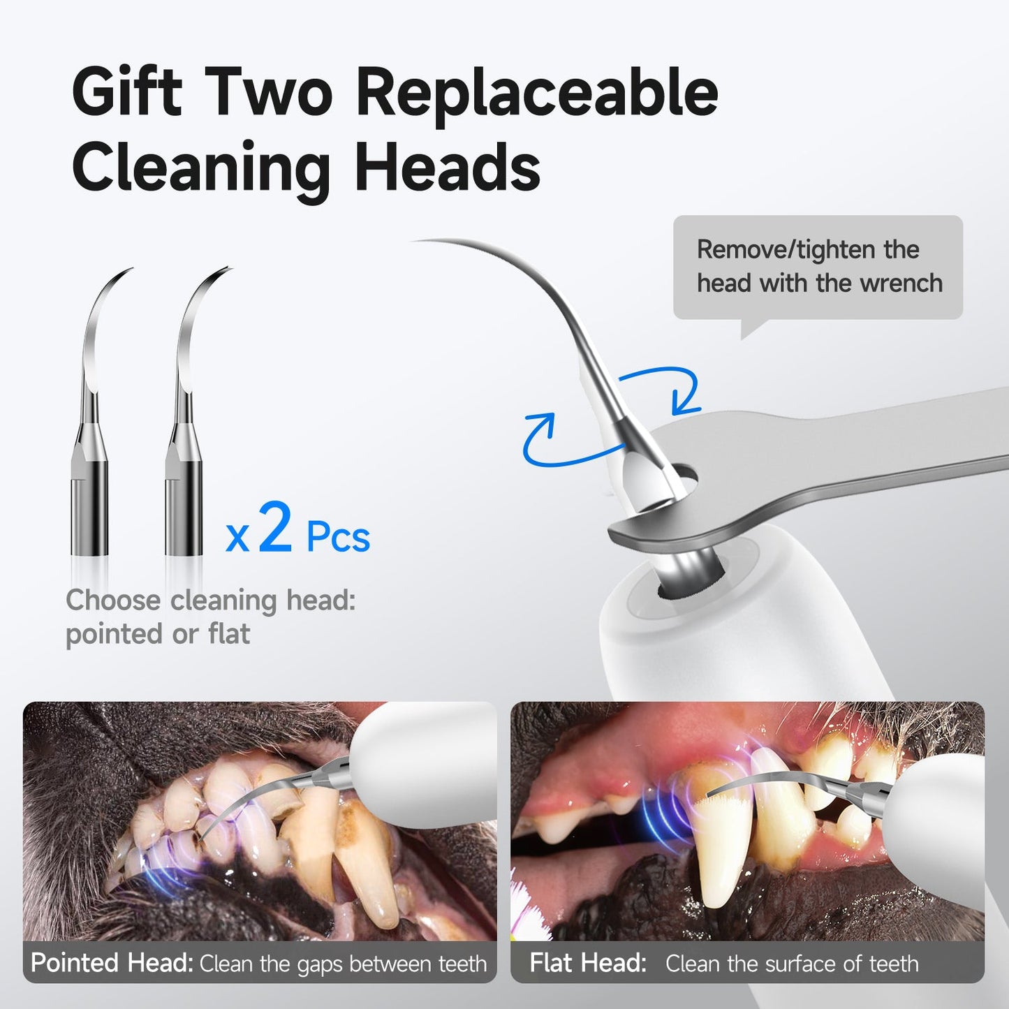 T5 Pet Ultrasonic Tooth Cleaner - CURVY MOON
