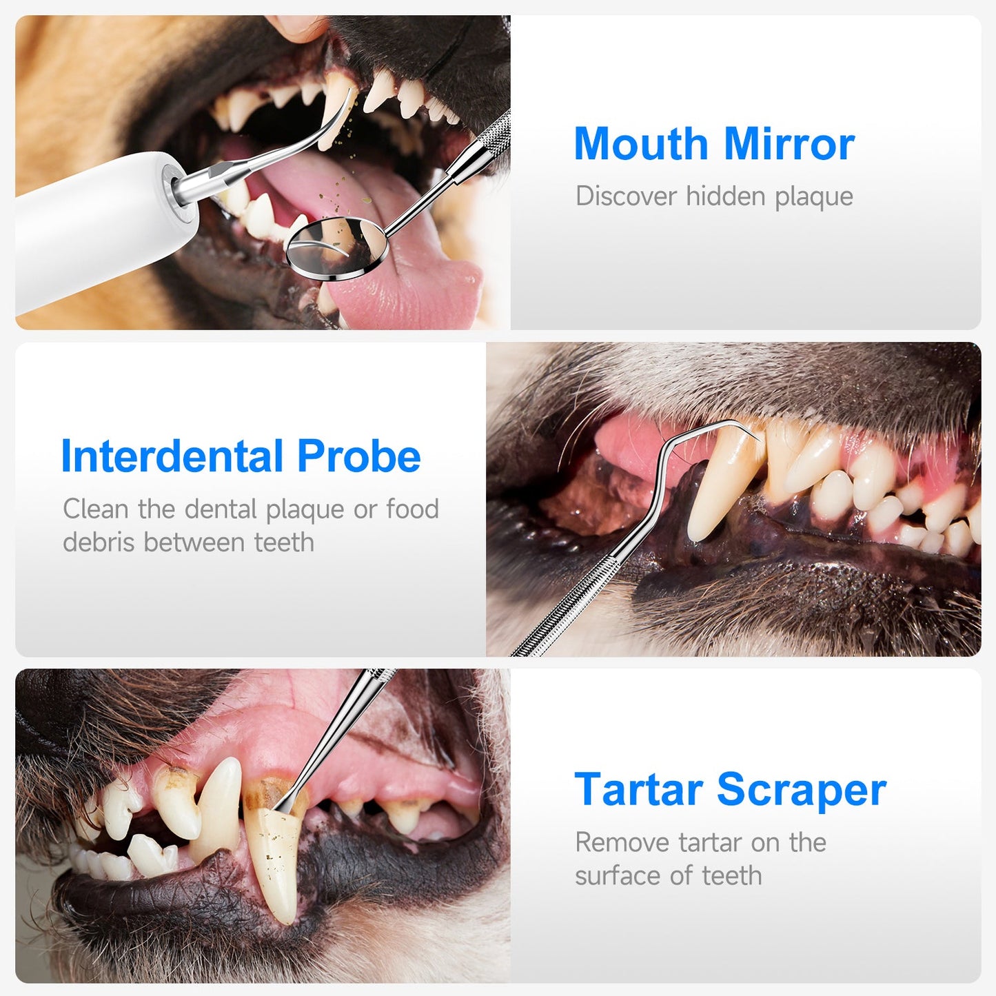 T5 Pet Ultrasonic Tooth Cleaner - CURVY MOON