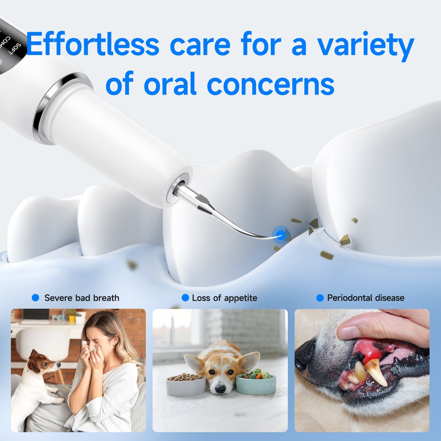 T6 Pet Ultrasonic Tooth Cleaner - CURVY MOON