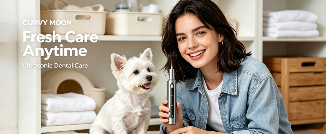 Curvymoon ultrasonic dental scaler for at-home tartar removal and gum care